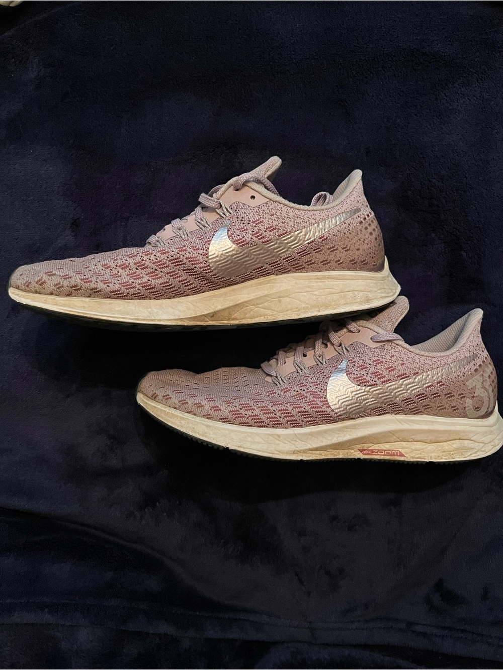 Nike Zoom Pegasus